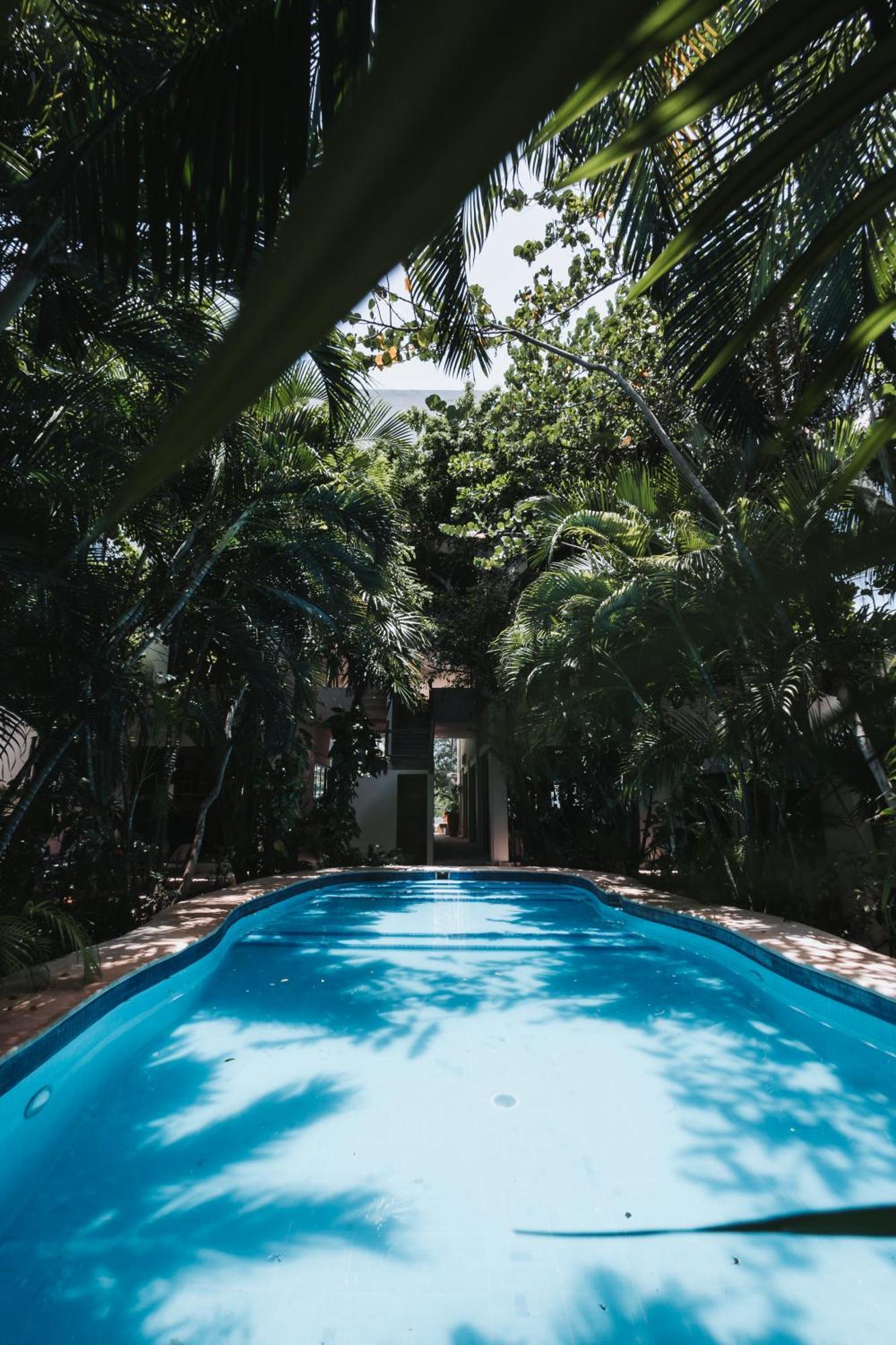 Hotel Casa Barbara Holbox Zewnętrze zdjęcie