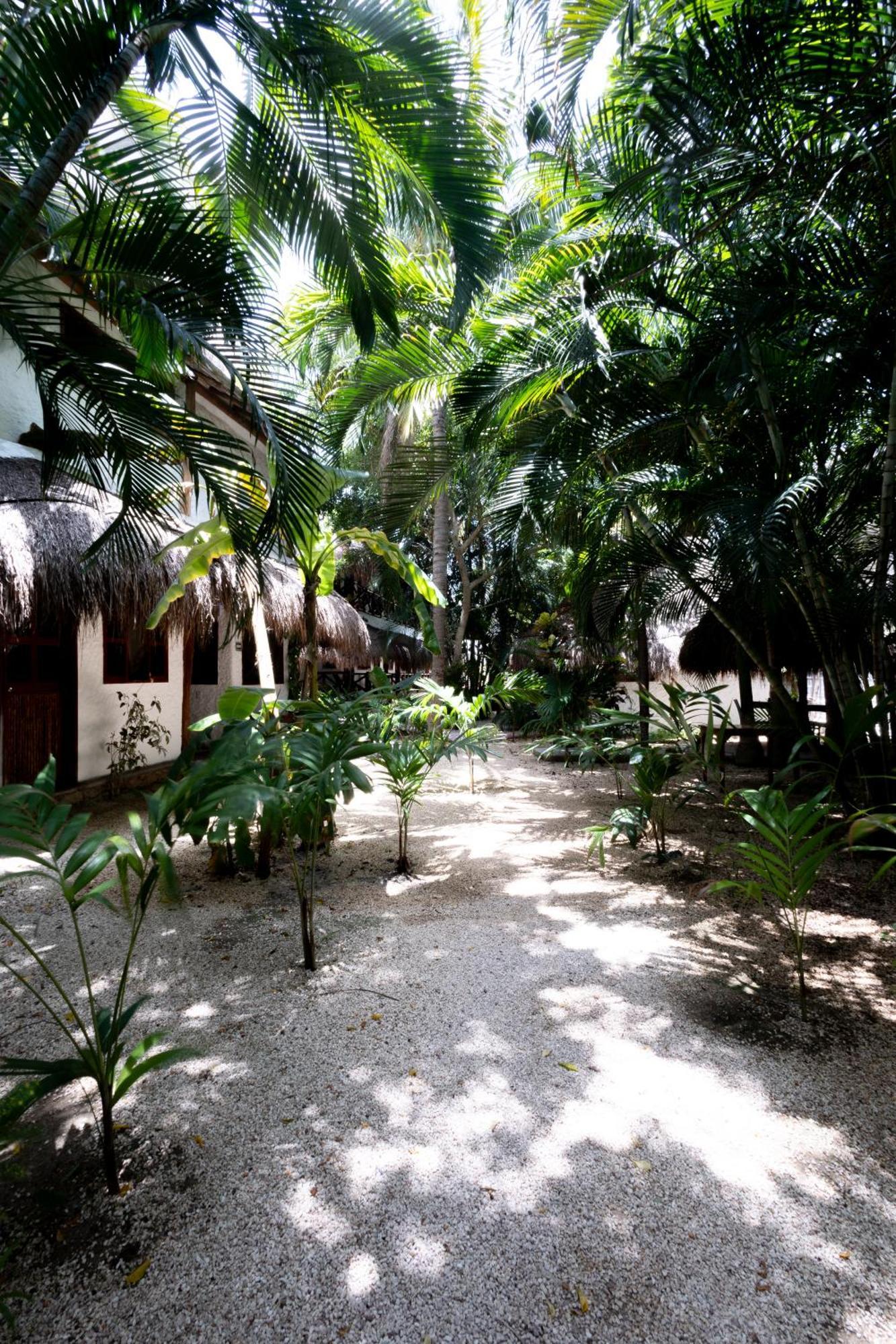 Hotel Casa Barbara Holbox Zewnętrze zdjęcie