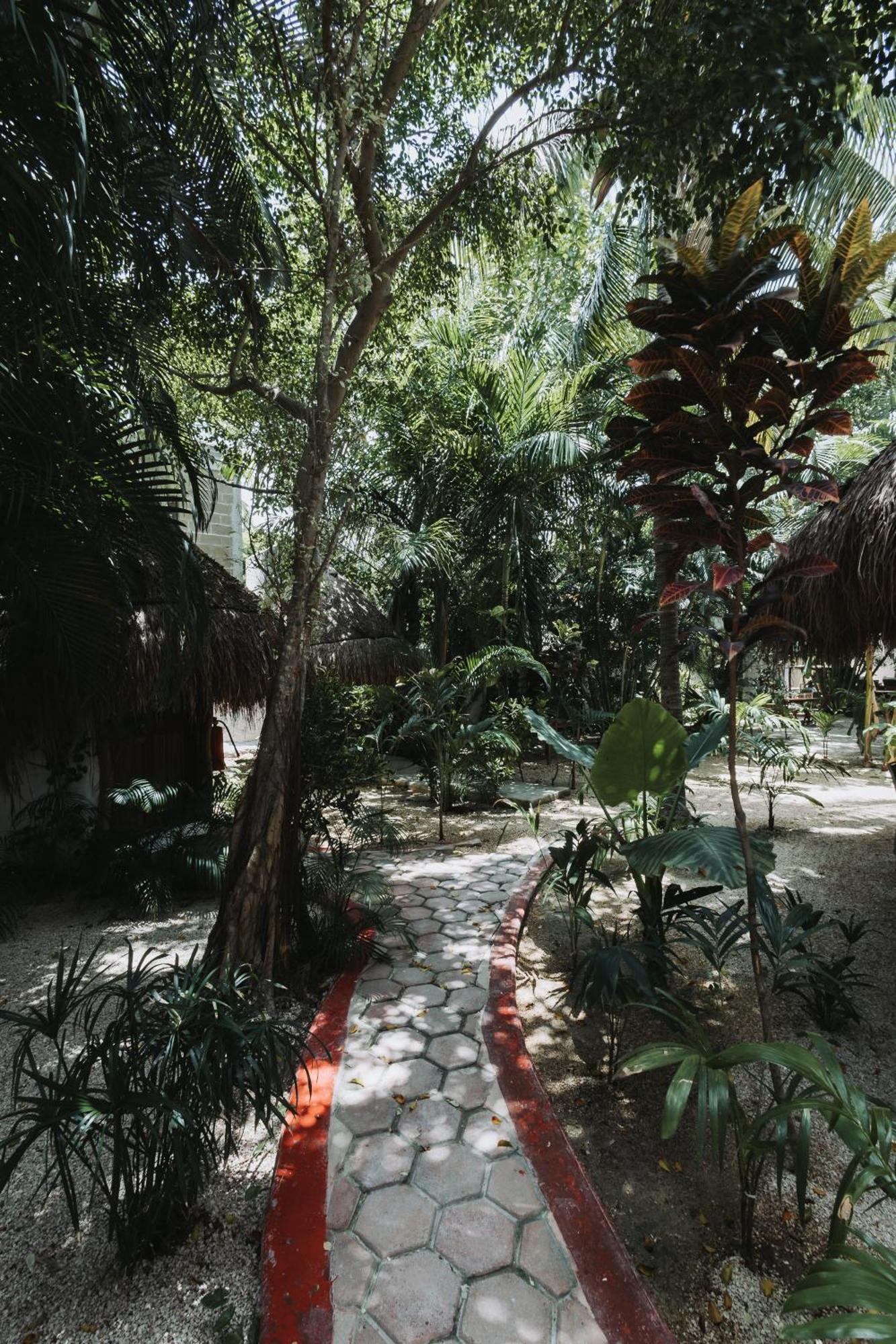 Hotel Casa Barbara Holbox Zewnętrze zdjęcie