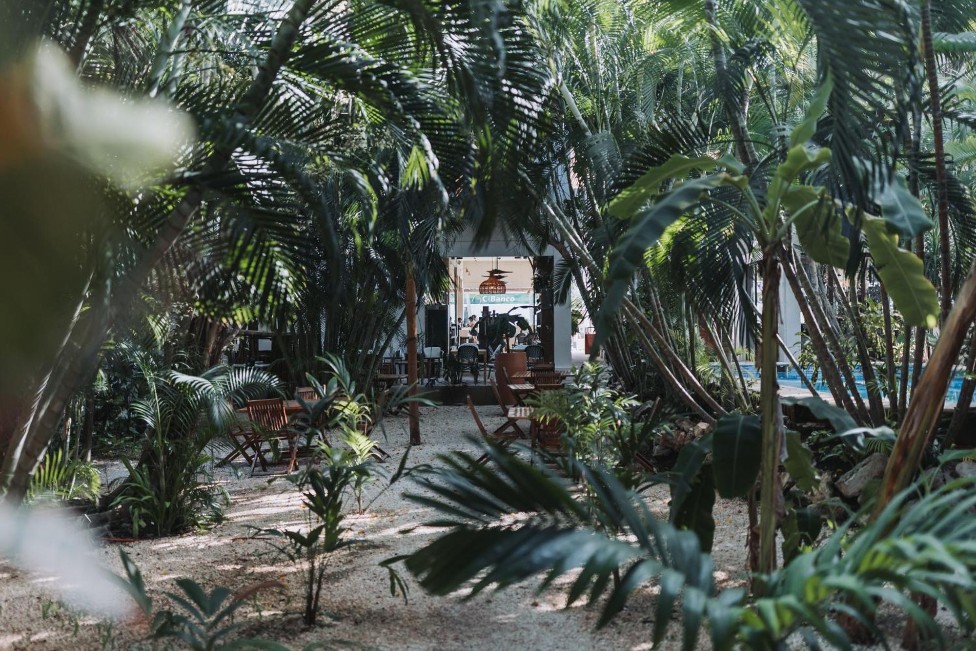 Hotel Casa Barbara Holbox Zewnętrze zdjęcie